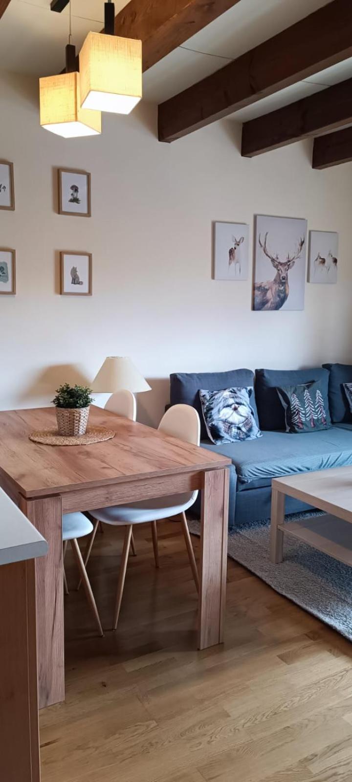 Duplex Familiar Izarraitz Apartment วิลยานัว ภายนอก รูปภาพ